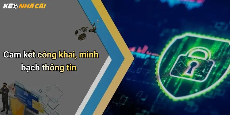 Cam kết công khai, minh bạch thông tin