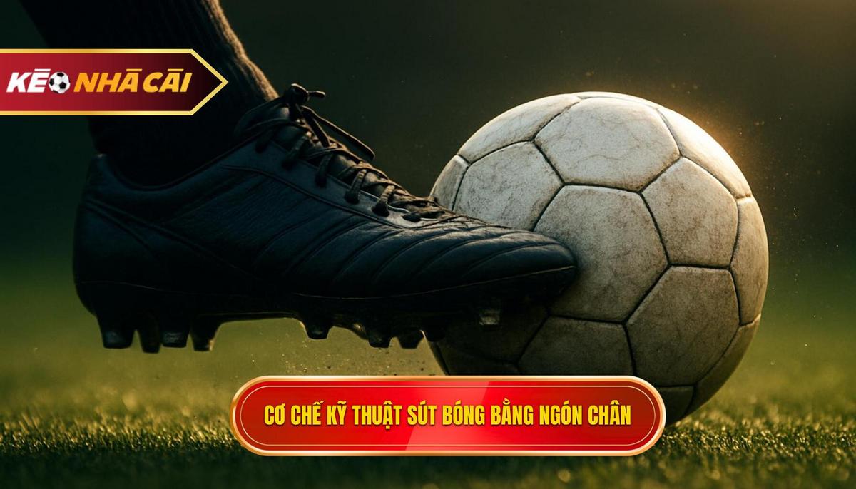 Cơ chế hoạt động của Kỹ thuật sút bóng bằng đầu ngón chân_ Tại sao nó nhanh và nguy hiểm_