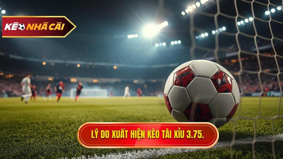Tại sao Kèo tài xỉu 3.75 hiệp 2 lại xuất hiện