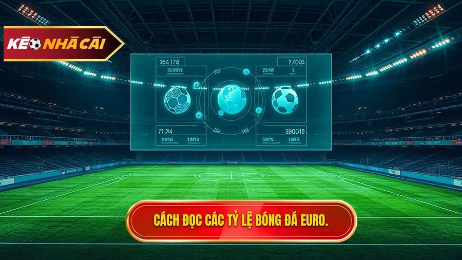 Các loại tỷ lệ bóng đá Euro phổ biến và cách đọc chuẩn xác